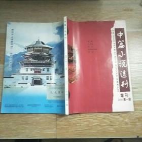 中篇小说选刊2010年增刊第一辑【实物拍图】