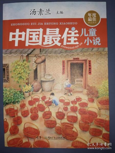 年度最佳作品系列:中国最佳儿童小说