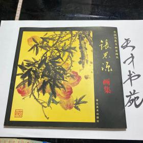 中国当代书画家画丛 张思源画集