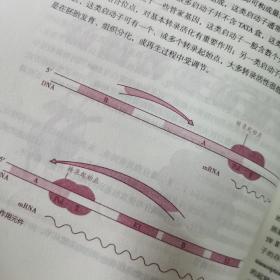 生物化学（第4版 供本科护理学类专业用 配增值）/全国高等学校教材