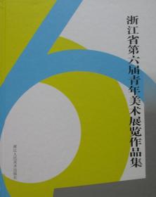 浙江省第六届青年美术展览作品集（16开精装 全一册  Log）