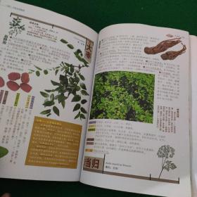 《中药活用图典》佘自强著 全彩高清实拍图片软装8品 一版一印