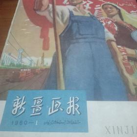 新疆画报1960（1-12）