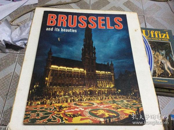 BRUSSELS and its beauties美丽的布鲁塞尔