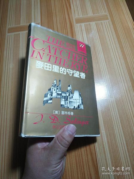 麦田里的守望者：外国文学名著精品