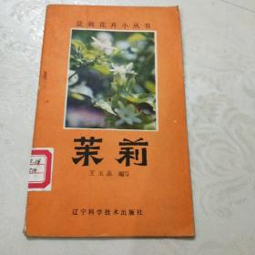 茉莉(馆藏)