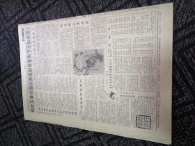 老报纸：菏泽大众1991年9月9日(试刊号第6期)