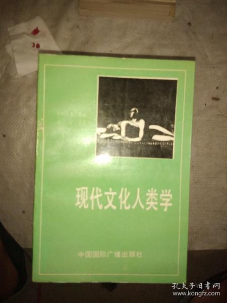 现代文化人类学