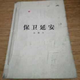 保卫延安
