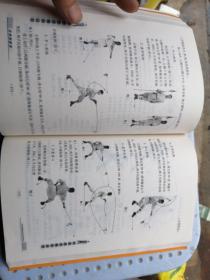 少林武术刀枪棍剑实战技法