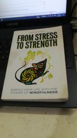 FROM STRESS TO STRENGTH