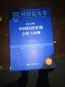 经济蓝皮书：2019年中国经济形势分析与预测