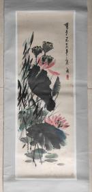 **【荷花】作品、画功精美