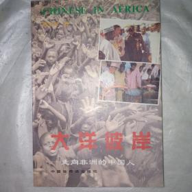 大洋彼岸:走向非洲的中国人 长篇报告文学