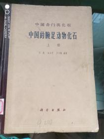 中国各门类化石 中国的腕足动物化石（上下册）