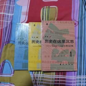 历史在这里沉思1-3：1966-1976年记实