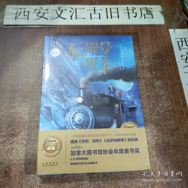 世界青少年大奖小说丛书：无限号列车