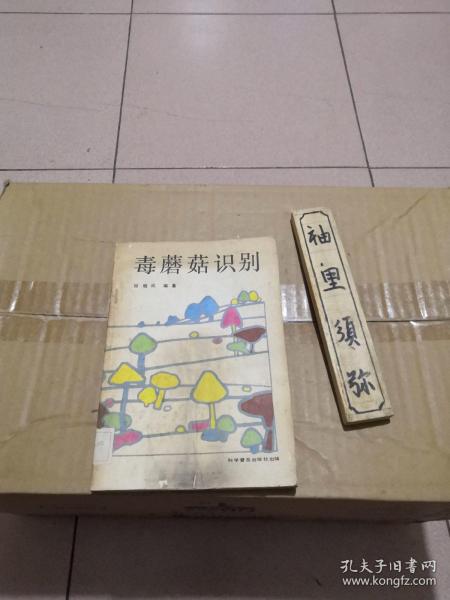 毒蘑菇识别