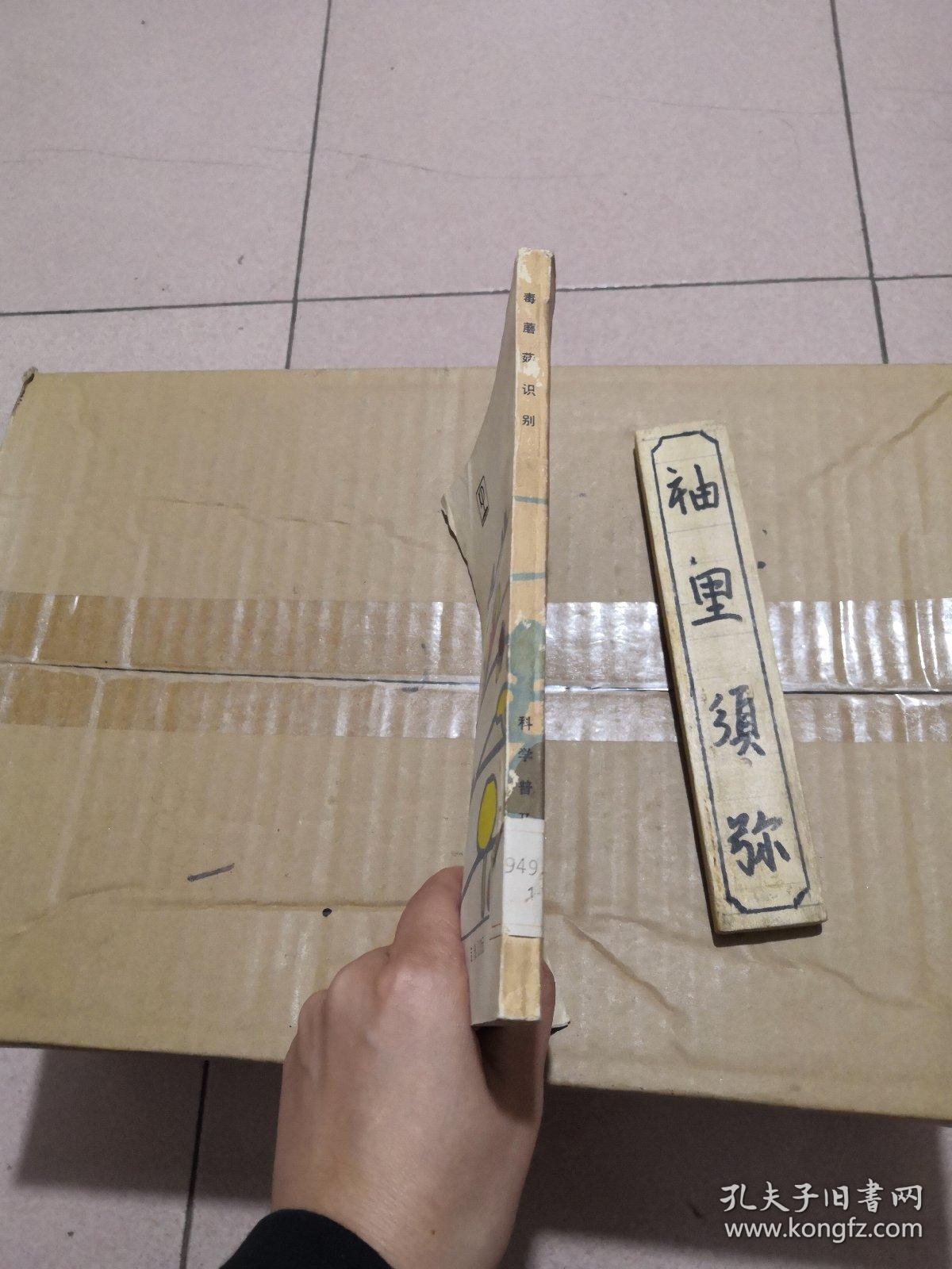 毒蘑菇识别