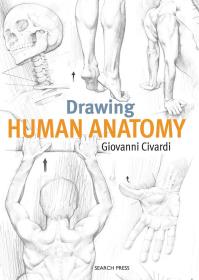 Drawing Human Anatomy (英语) 绘制人体解剖学 艺术素描书籍
