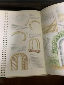 Creating Boundaries and Screens (Gardening Workbooks)