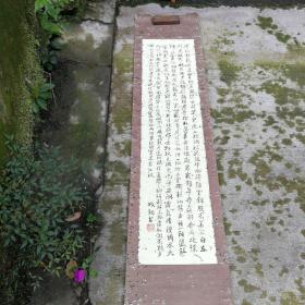 （建箱01）振翔书画：《青松劲挺姿凌霄。。》