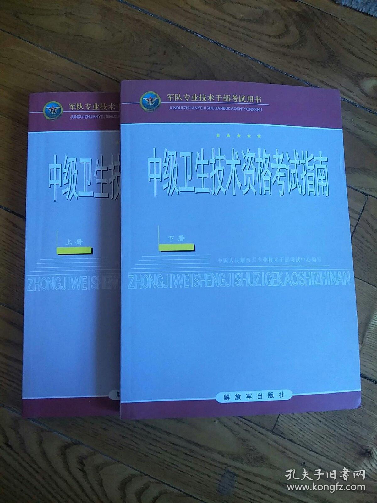 中级卫生技术资格考试指南 上下