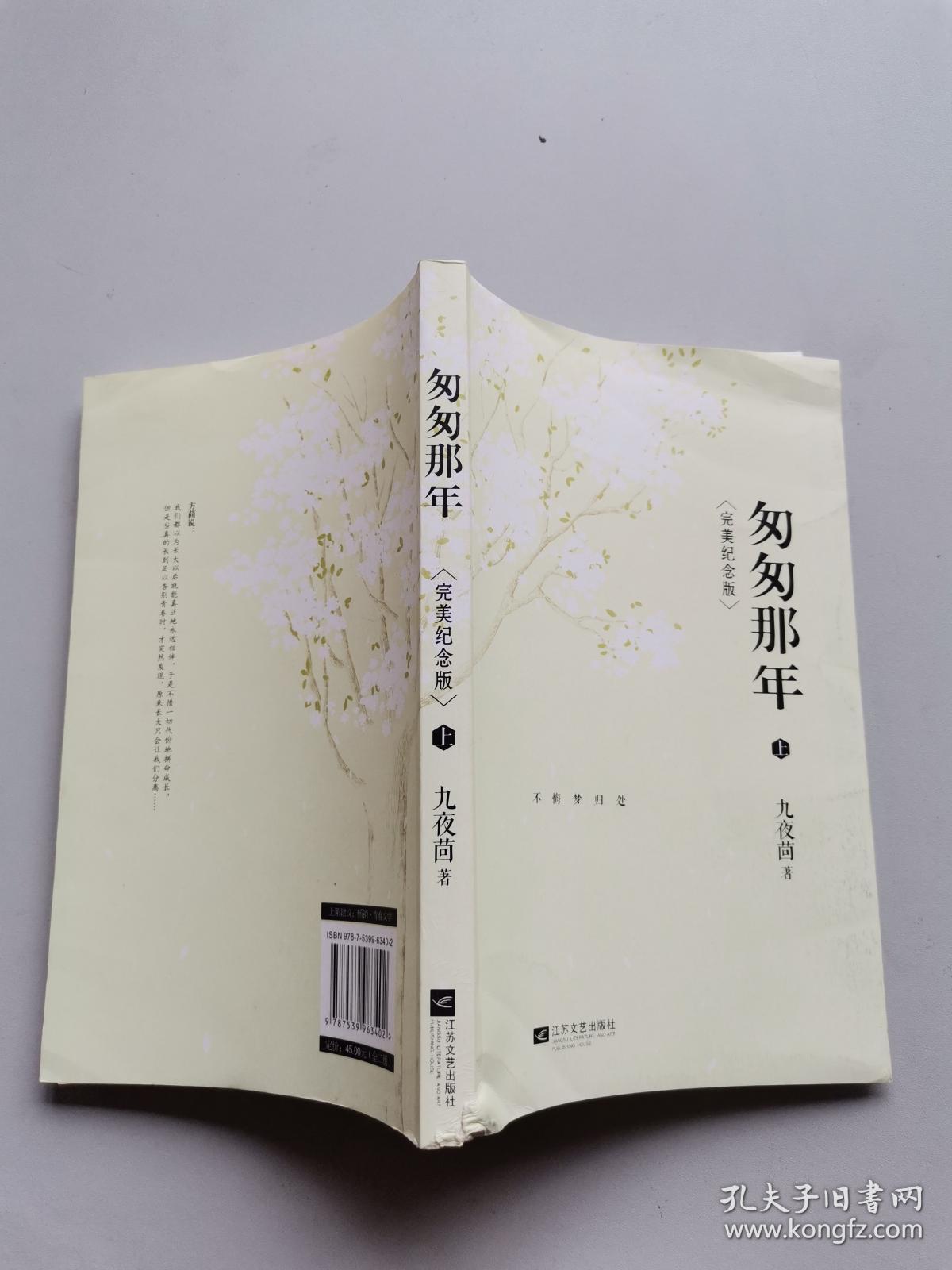 匆匆那年：完美纪念版.上