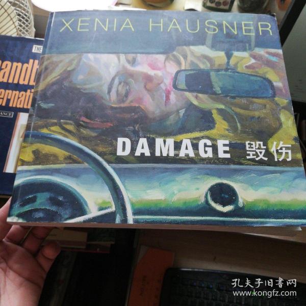 XENIA HAUSNER: DAMAGE    毁伤