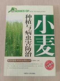小麦种植与病虫害防治