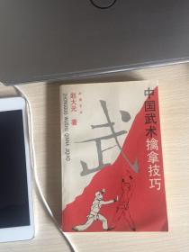 中国武术擒拿技巧