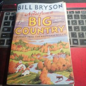 Notes from a Big Country