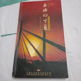 奔腾的宁夏DVD  10张光盘