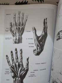 解构人体 艺术人体解剖