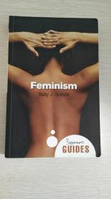 Feminism : A Beginner's Guide 【英文原版，品相佳】