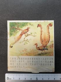 50年代双面小画片（琴鸟）