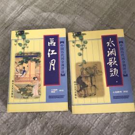 中国历代词分调评注：水调歌头+西江月【两本合售】