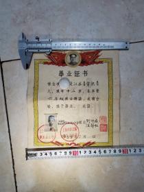 1959年毕业证