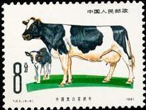 念椿萱 T邮票T 63畜牧业牛6-4中国黑白花奶牛8分全新
