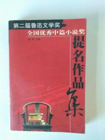 第二届鲁迅文学奖全国优秀中篇提名作品集