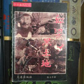 中日血战纪实——血染黑土地