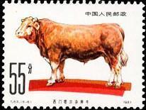 念椿萱 T邮票T 63畜牧业牛6-6中国西门塔尔杂种牛55分全新