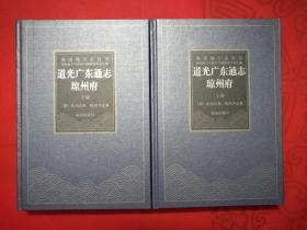 海南地方志丛刊-道光广东通志琼州府（上下册）