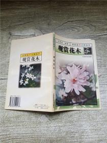 家庭花卉精品 观赏花木