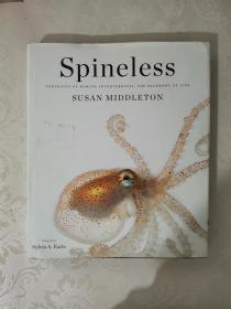 Spineless: Portraits of Marine Invertebrates the Backbone of Life