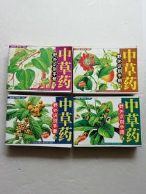 中草药野外识别手册