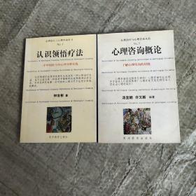 心理治疗与心理咨询丛书：心理咨询概论、认识领悟疗法【两本合售】