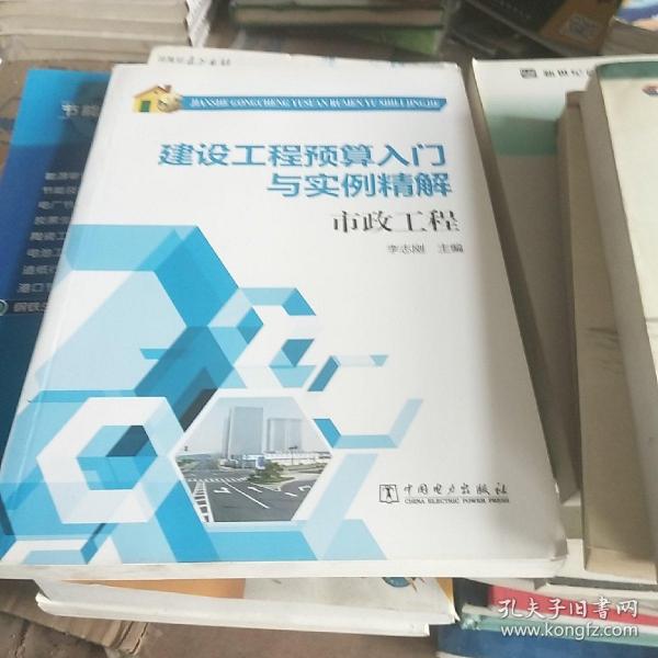 建设工程预算入门与实例精解：市政工程