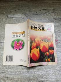 家庭花卉精品 世界名花