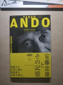 TADAO ANDO Insight Guide 安藤忠雄的建筑视角理论